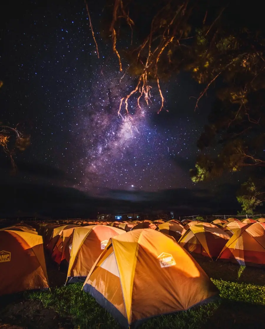 Nature & Landscape photography