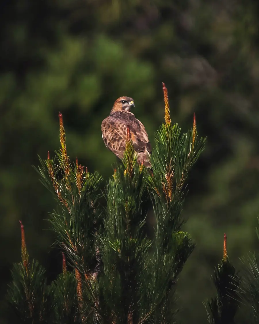 Nature & Landscape photography