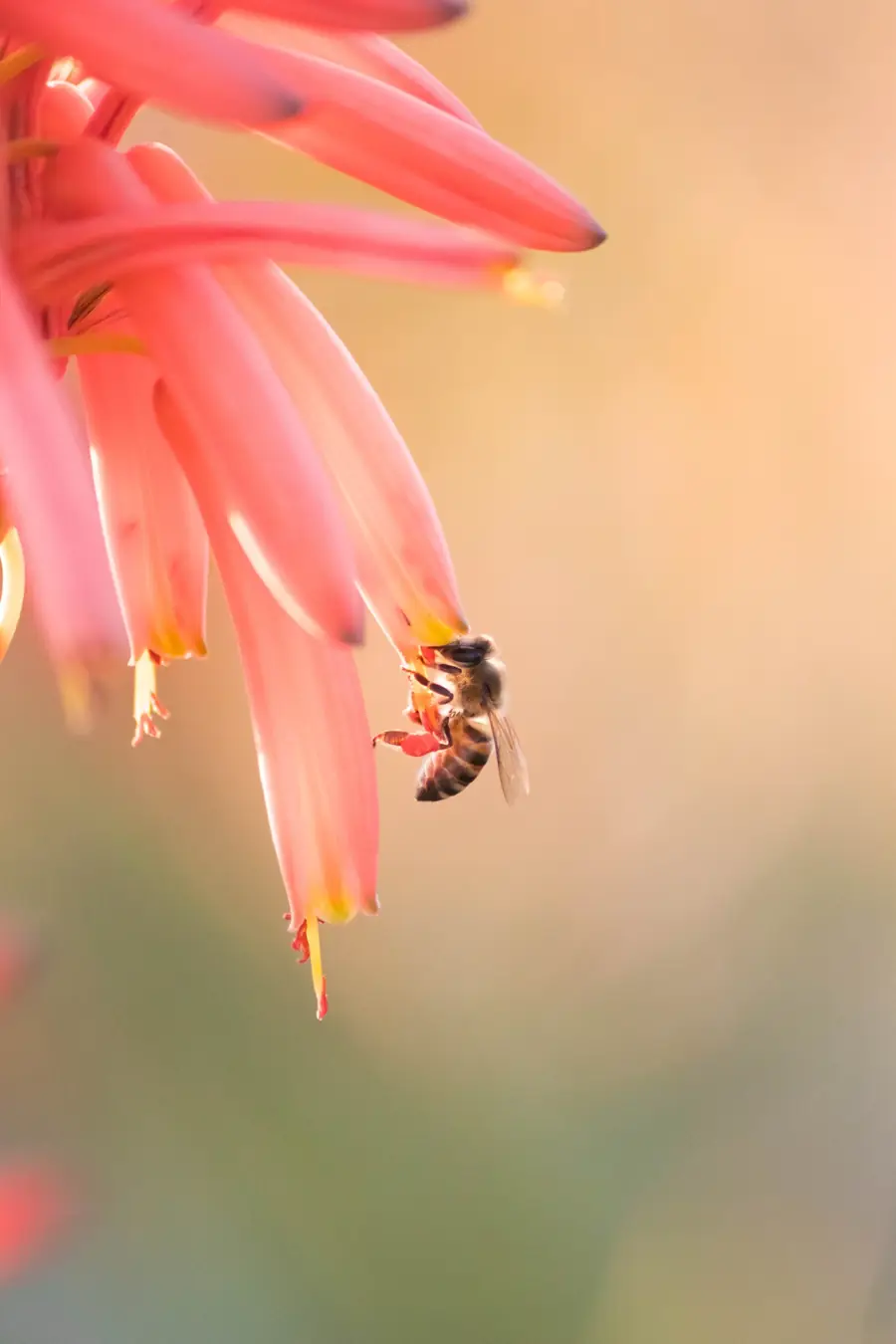 Nature & Landscape photography