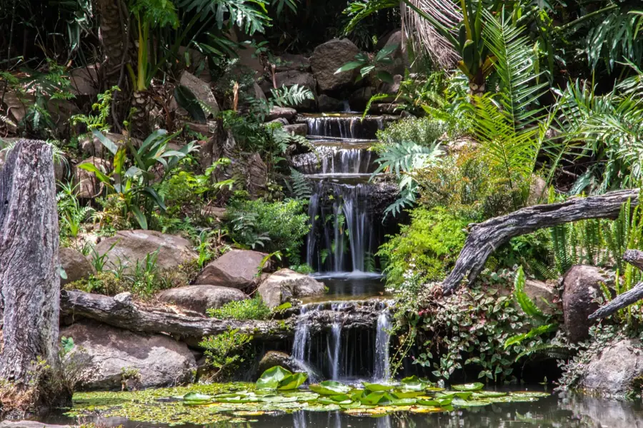 Nature & Landscape photography