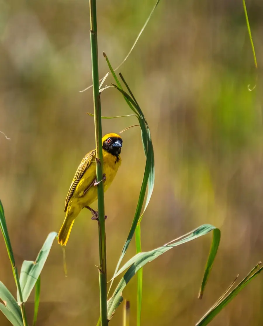 Nature & Landscape photography