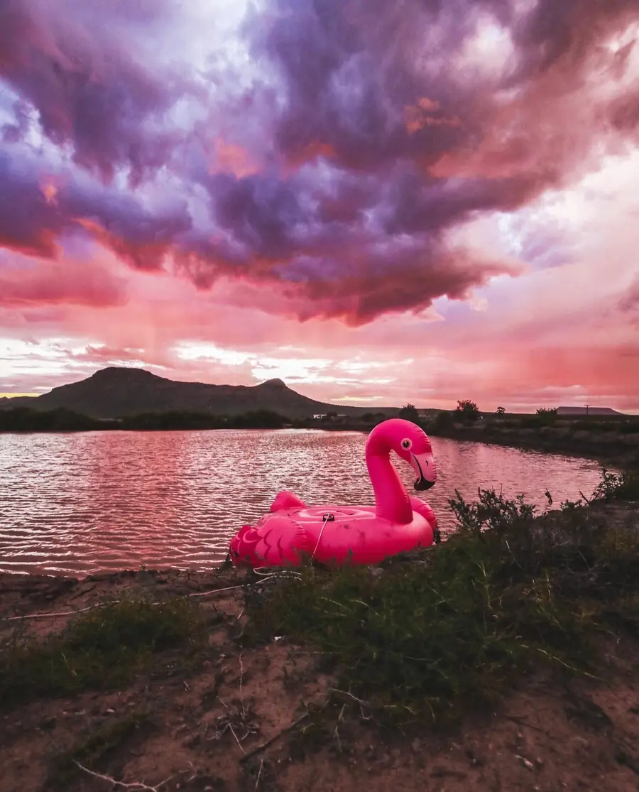 Nature & Landscape photography